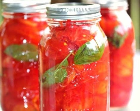 Best fresh tomato recipes for summer harvest top view