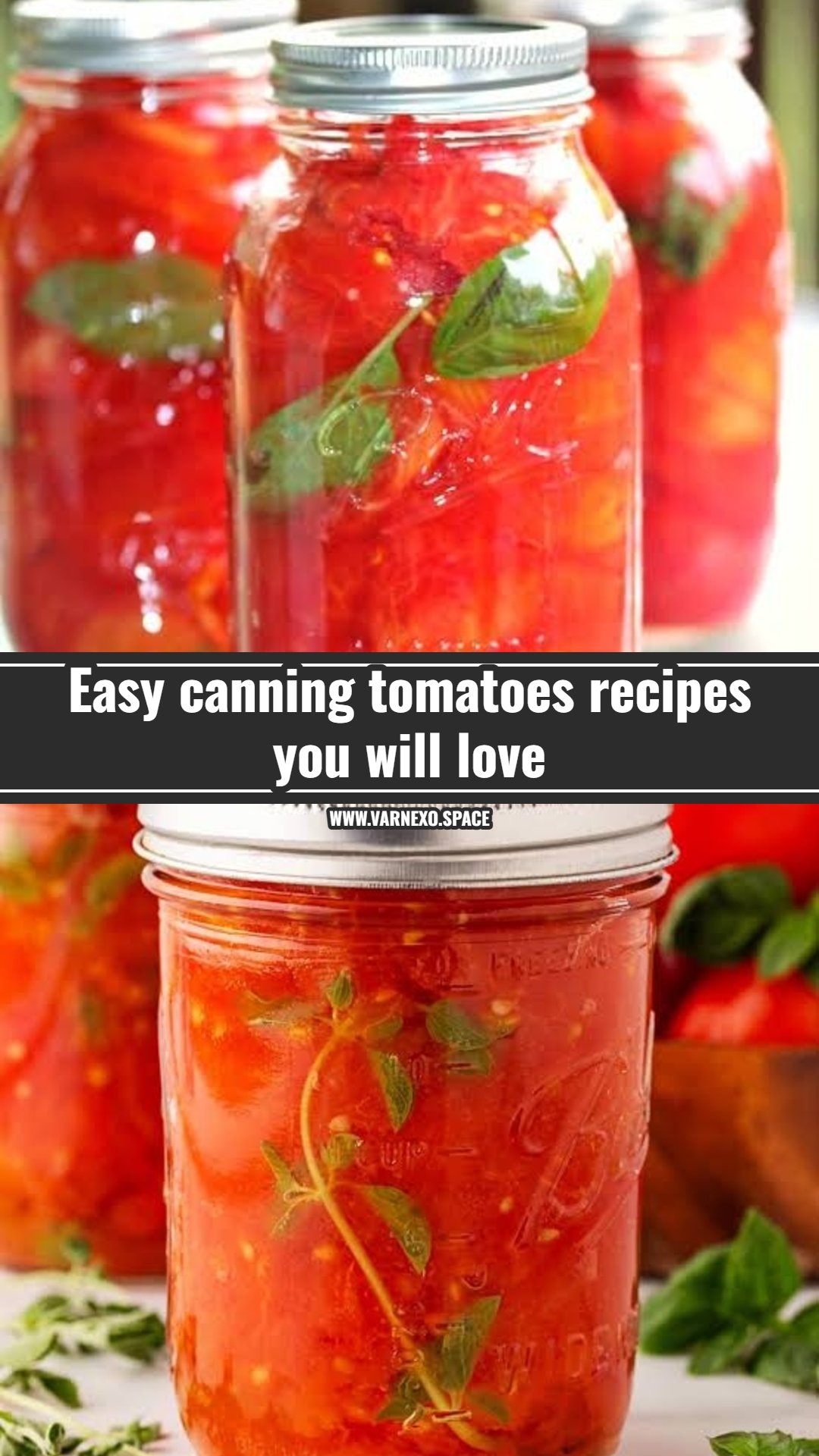 Best fresh tomato recipes for summer harvest