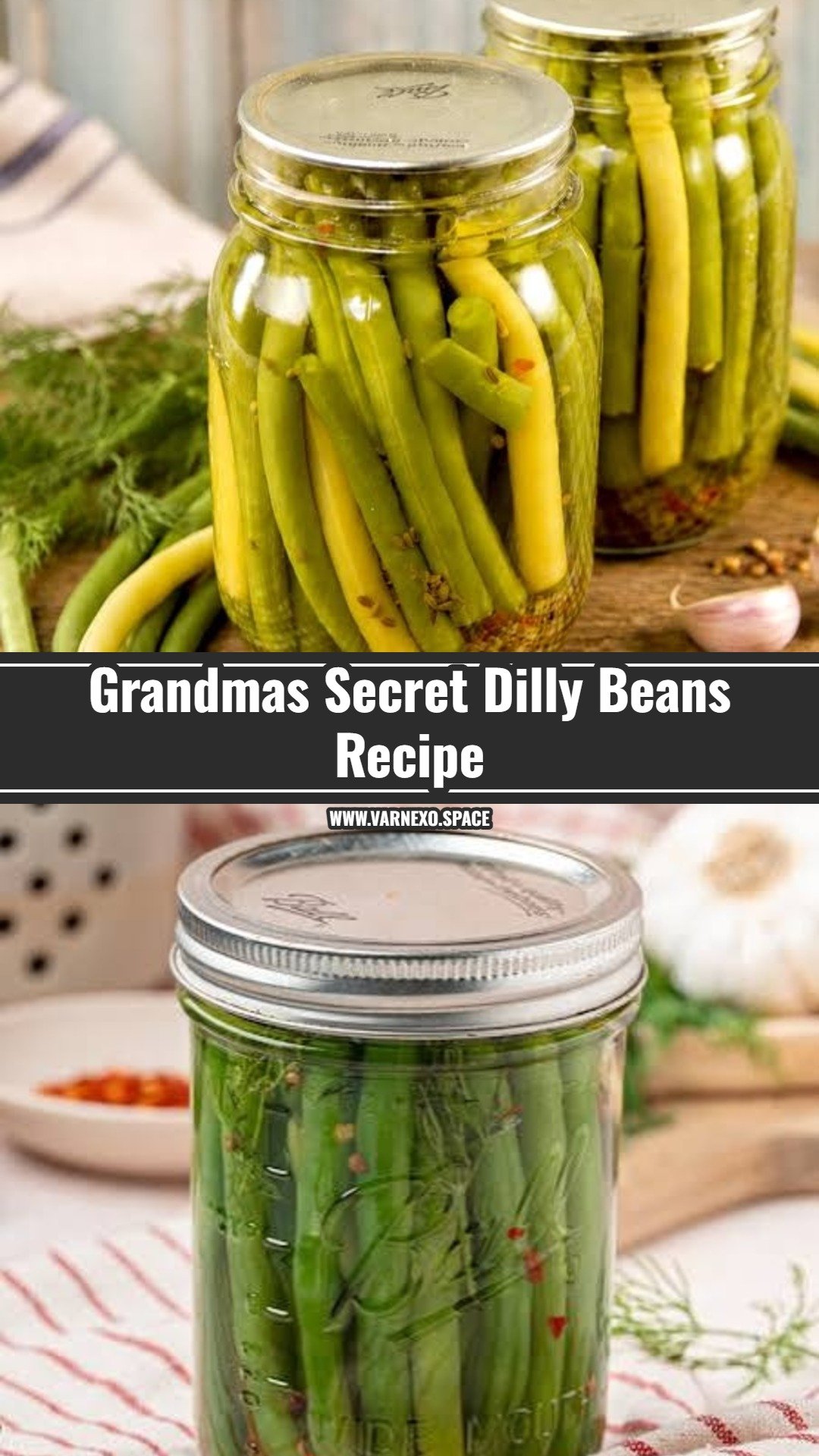 Easy Dilly Beans Recipe For Beginners